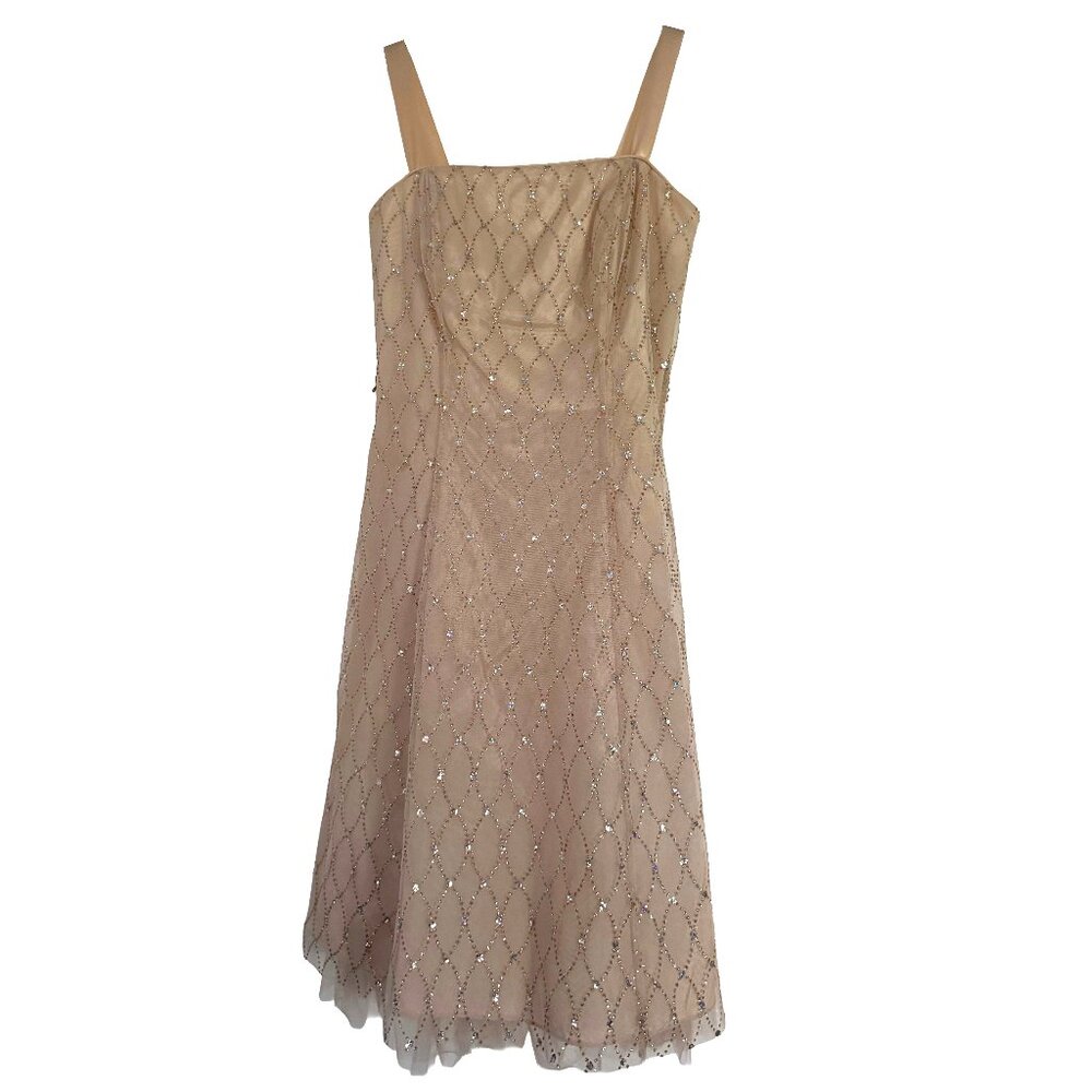 Vintage Jump Formal / Semi Formal Dress